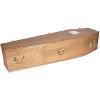 Saltwell coffin